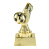 Voetbal trofee