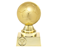 Voetbal trofee