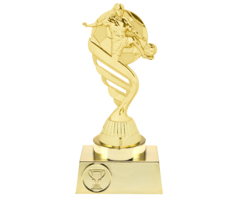 Dames voetbal trofee