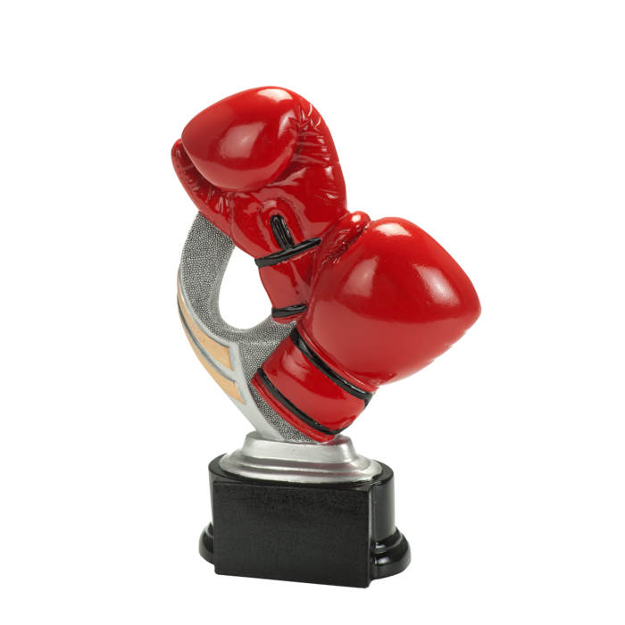 Bokshandschoenen trofee