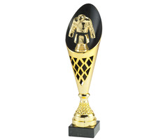 Vechtsport trofee