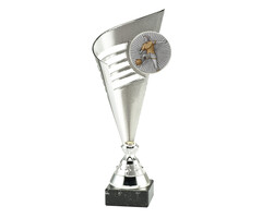 Voetbal trofee