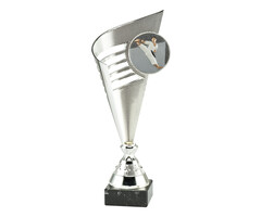 Karate trofee