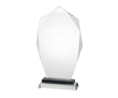 Glas trofee inclusief giftbox