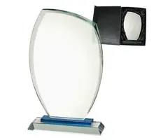 Glas trofee inclusief giftbox