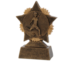 vrouwen voetbal beeldje