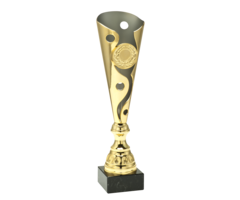 Trofee goud / mat zilver