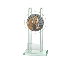 Glazen trofee paardensport