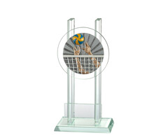 Glazen trofee volleybal