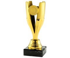 Trofee goud , zilver en brons