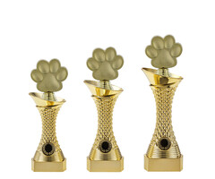 Trofee goud hondenpoot 23.5 t/m 27.5cm
