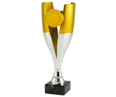 Trofee Goud-zilver brons