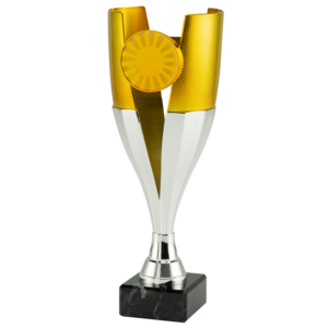 Trofee Goud-zilver brons