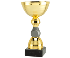 Beker Goud - Mat zilver