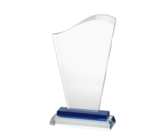 Glas trofee inclusief giftbox