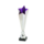 Star trofee