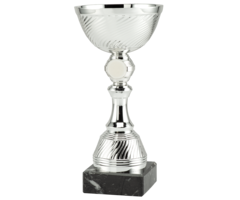 Beker Zilver