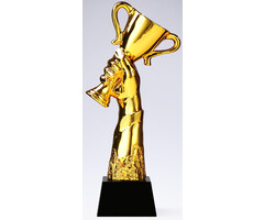 Winnaar award