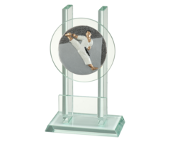 Glazen trofee karate