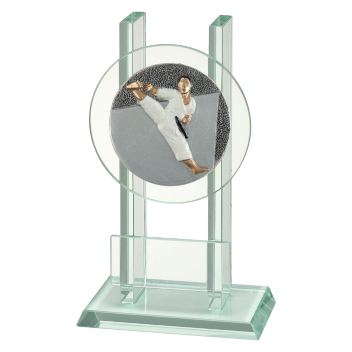 Glazen trofee karate