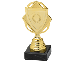 Trofee Goud, zilver en brons met schildje