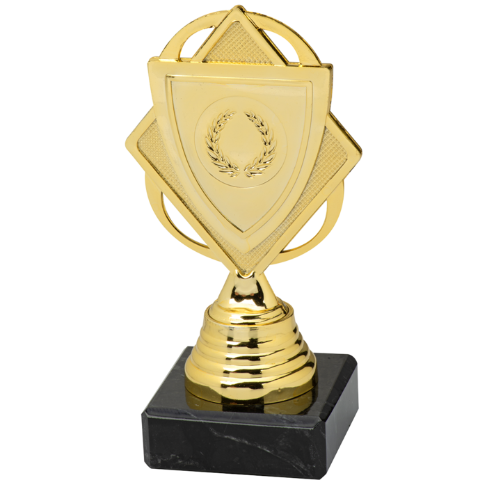 Trofee Goud, zilver en brons met schildje
