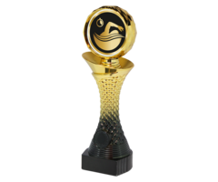 Zwem Trofee  – Goud/Zwarte Beker