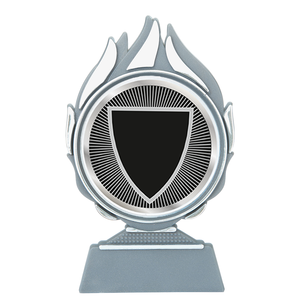 Budget Trofee – Leverbaar in Goud, Zilver en Brons | Vlammen Design