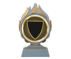 Budget Trofee – Leverbaar in Goud, Zilver en Brons | Vlammen Design