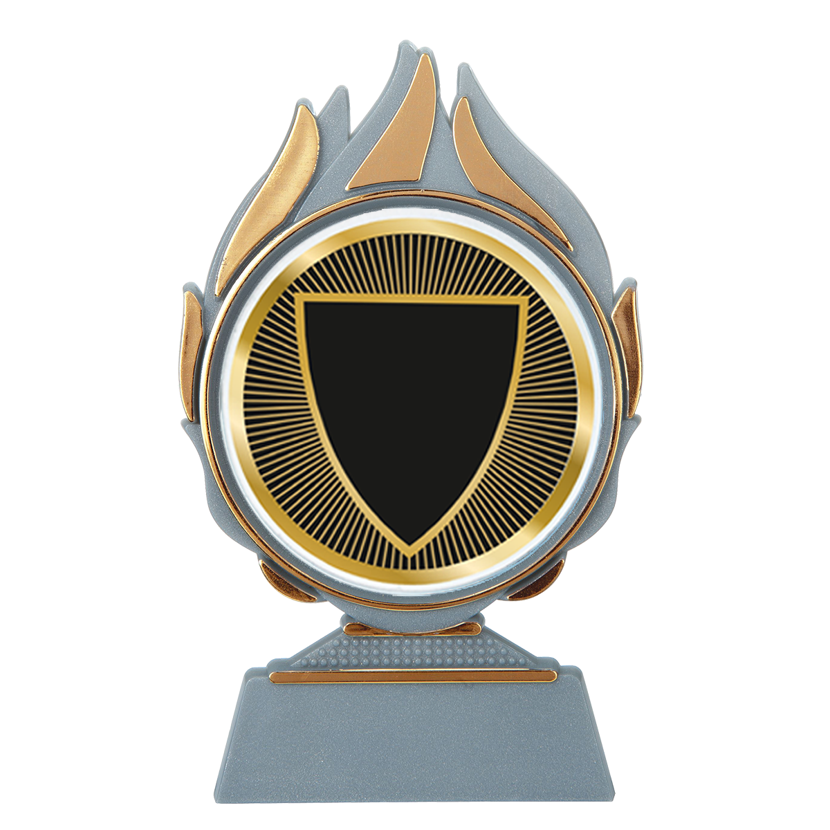 Budget Trofee – Leverbaar in Goud, Zilver en Brons | Vlammen Design