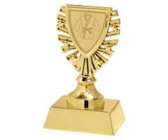 Kunststof Trofee – Judo/karate | Goud, Zilver & Brons