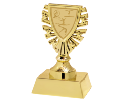 Trofee – Dames Turnen | Goud, Zilver & Brons