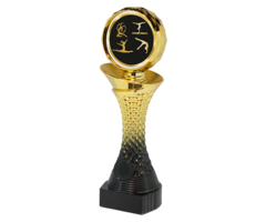 Turn Trofee Dames – Goud/Zwarte Beker