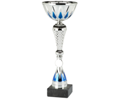 Zilverkleurige Trofee met Blauwe Accenten