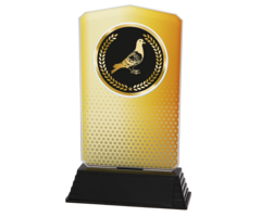 Acryl Duivensport Trofee – Goud, Zilver & Brons (18,5 cm)