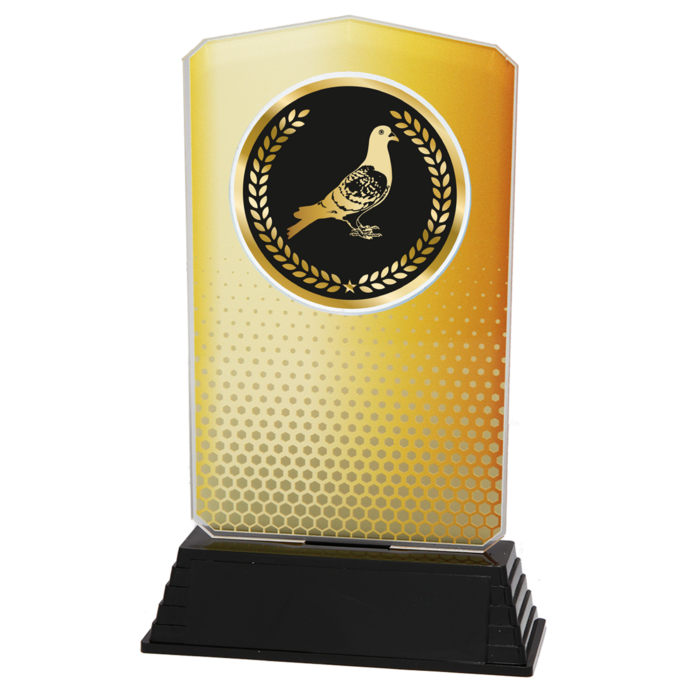 Acryl Duivensport Trofee – Goud, Zilver & Brons (18,5 cm)