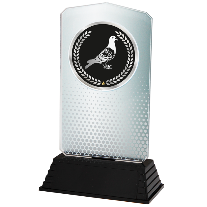 Acryl Duivensport Trofee – Goud, Zilver & Brons (18,5 cm)