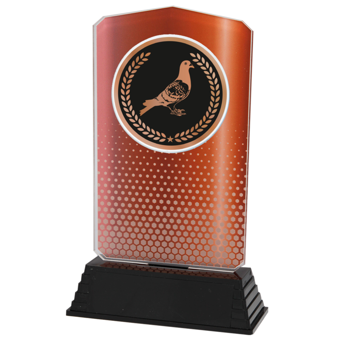 Acryl Duivensport Trofee – Goud, Zilver & Brons (18,5 cm)