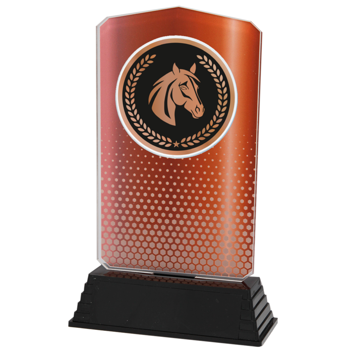 Acryl Paardensport Trofee – Goud, Zilver & Brons (18,5 cm)
