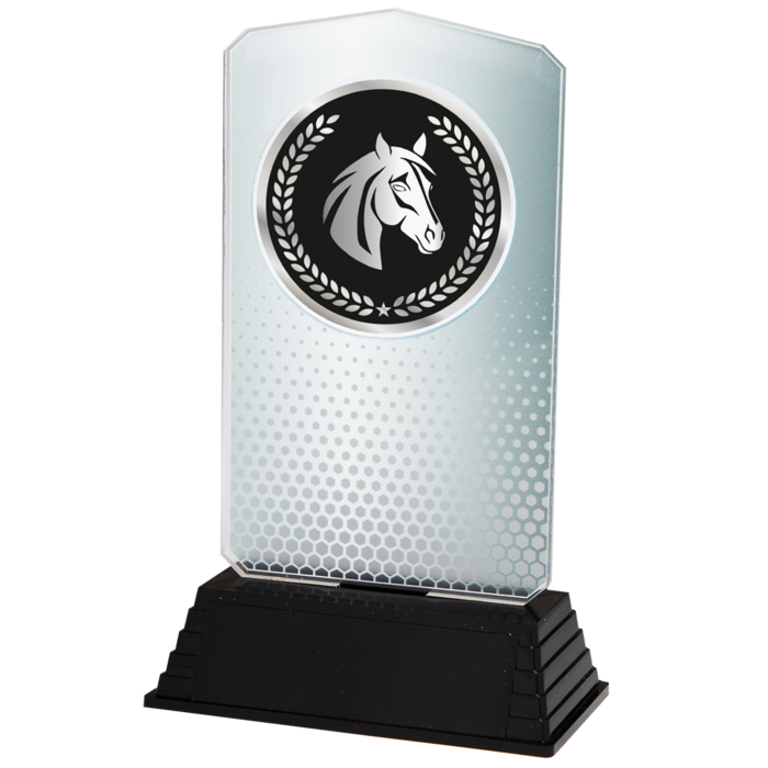 Acryl Paardensport Trofee – Goud, Zilver & Brons (18,5 cm)