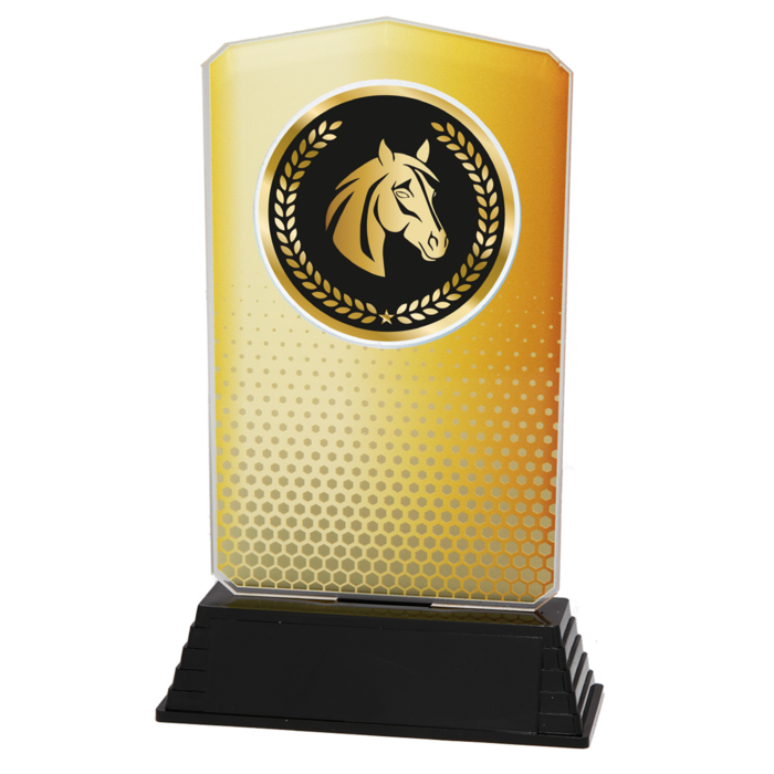 Acryl Paardensport Trofee – Goud, Zilver & Brons (18,5 cm)