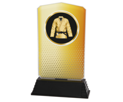 Acryl Vechtsport Trofee – Goud, Zilver & Brons (18,5 cm)