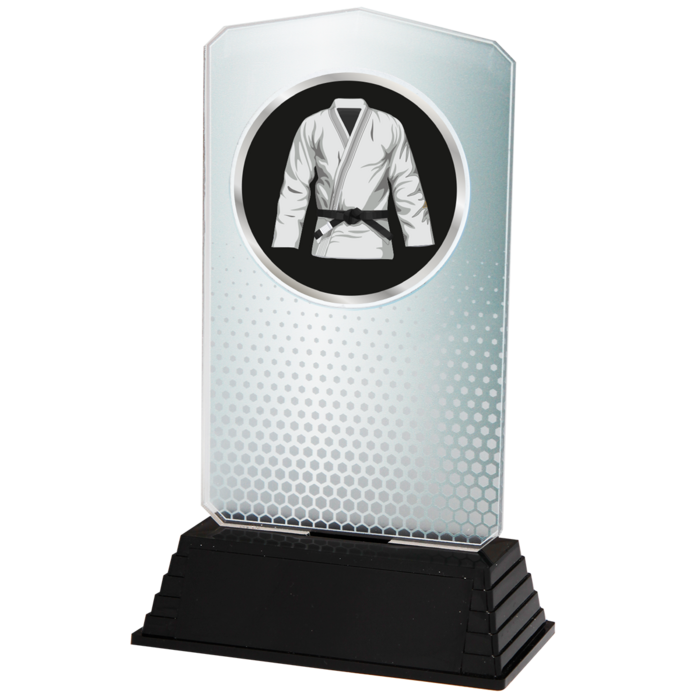 Acryl Vechtsport Trofee – Goud, Zilver & Brons (18,5 cm)