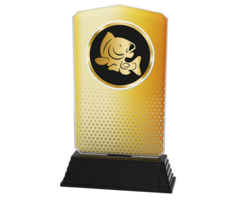 Hengelsport Trofee Acryl – Goud, Zilver & Brons