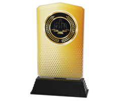 SchaakTrofee Acryl – Goud, Zilver & Brons