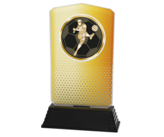 Voetbal Trofee Acryl – Goud, Zilver & Brons (18,5 cm)