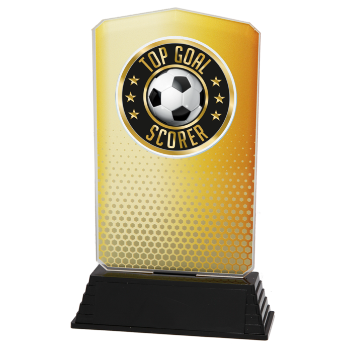 Top Scorer Trofee Acryl – Goud (18,5 cm)