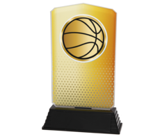 Acryl Basketbal Trofee – 18,5 cm