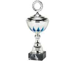 Zilveren Trofee met Blauwe Accenten