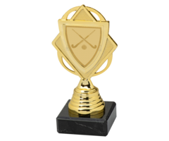 Hockey Trofee met Gekruiste Hockeysticks – Goud, Zilver of Brons